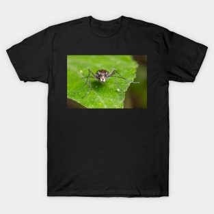 Unique and organic photo of a tiger beetle T-Shirt